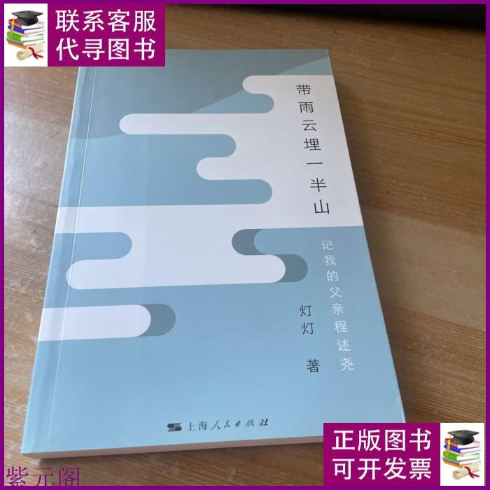 带雨云埋一半山:记我的父亲程述尧 上海人民出版社二手书