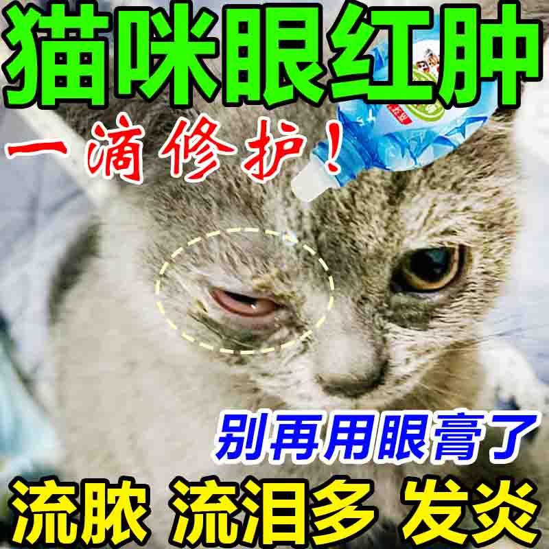 猫咪眼睛红肿流脓发炎眼屎流泪结膜炎红眼圈睁不开猫咪滴眼液消炎 1盒
