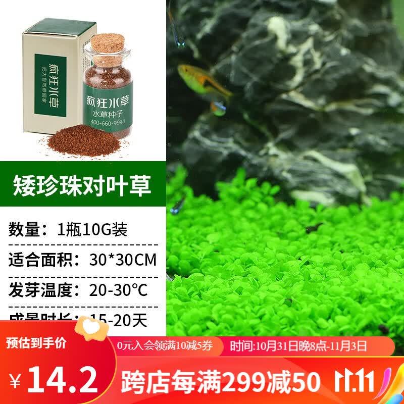 疯狂水草（FKSC）鱼缸造景水草种子水族箱装饰前景草迷你小对叶草坪活体真水草 小对叶种子 适合新手养殖无需CO2属于什么档次？