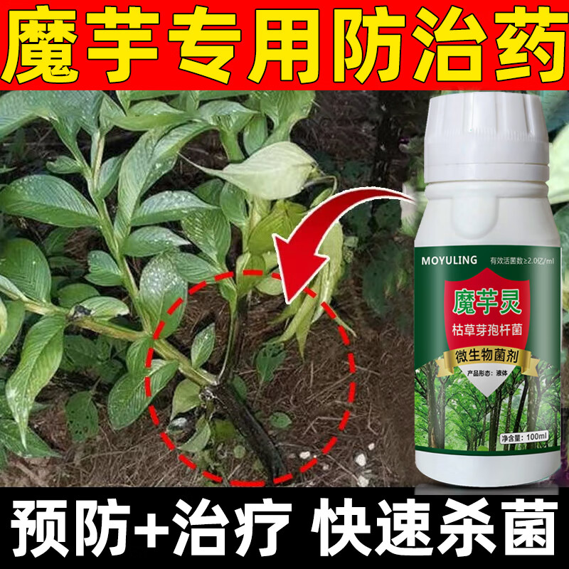 豫掌门魔芋专用药魔芋病害全清魔芋药专用防病汰腐净魔芋灵魔芋软腐病