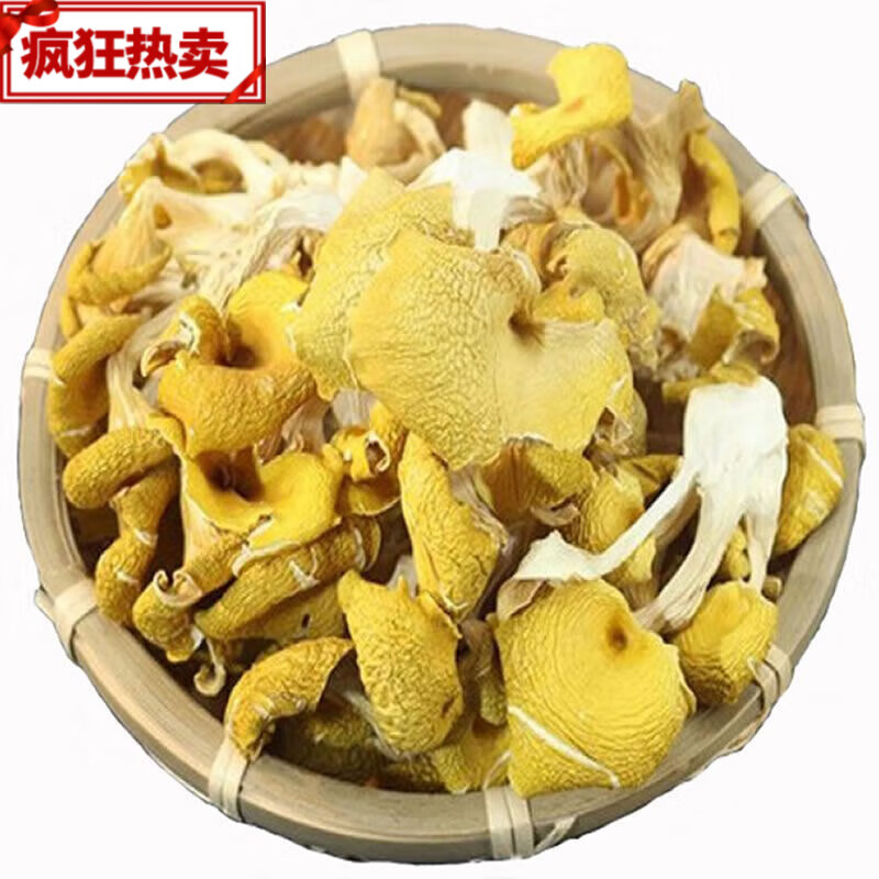 皇茅云南鸡油菌菇类干货黄丝菌香菇榆黄菇炖煲汤材料蘑菇新鲜500g