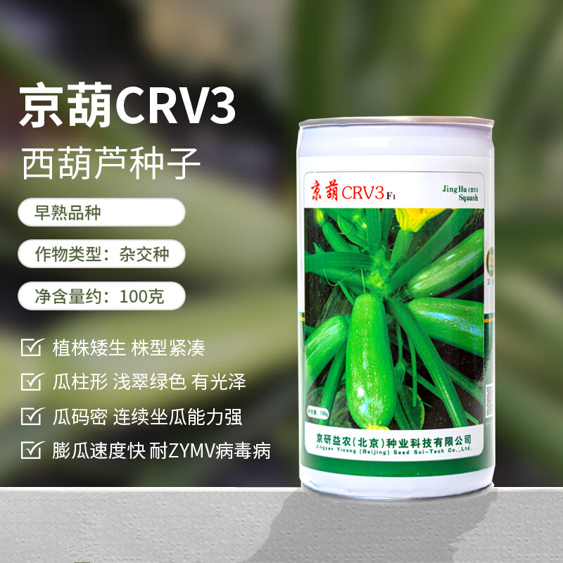 京農(nóng)研西葫蘆瓜種子香蕉西葫蘆種籽圓形茭瓜耐熱耐寒抗病農(nóng)科院蔬菜籽孑 京葫CRV3號 100克