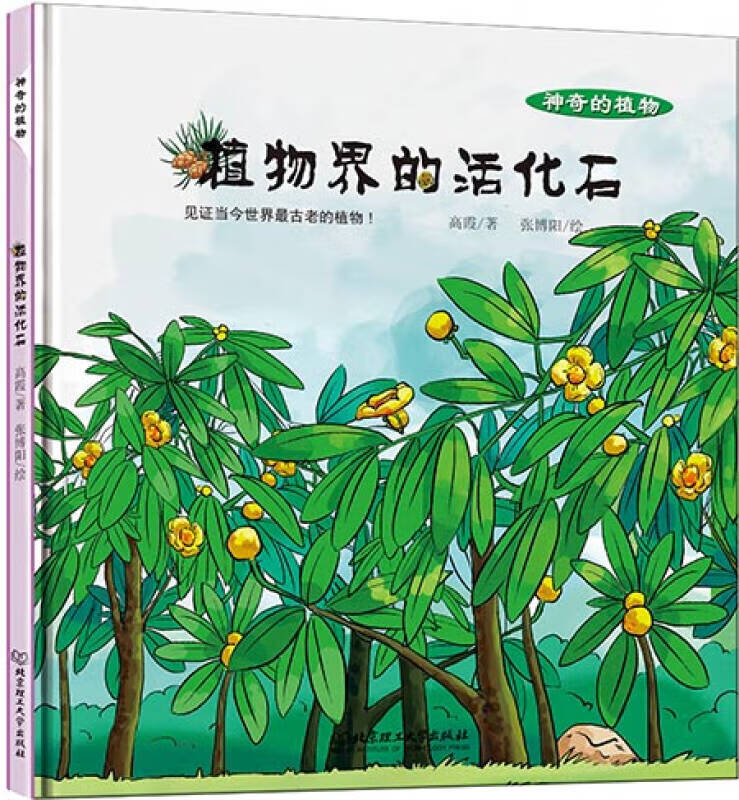【正版现货】植物界的活化石9787568215992