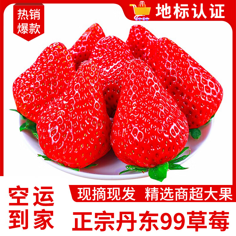沙窝曙光（空运到家）丹东草莓99红颜奶油大草莓新鲜时令水果年货礼盒 【爆卖】2斤大果装单果20-30g