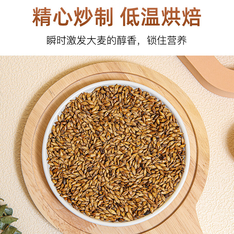 萃隐大麦茶茶包浓香型茶叶火适合去夏天泡水喝的养生茶 50g