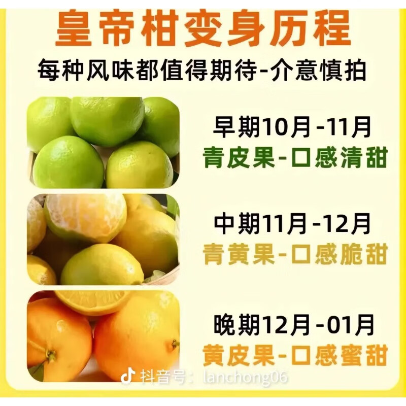 沣御园 广西皇帝柑贡柑   5斤装 果径约50-55mm