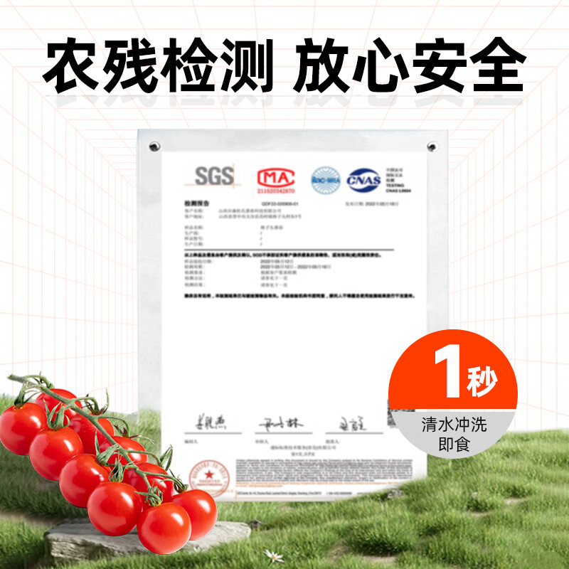 DU'S杜氏水果樱桃番茄 可生吃生鲜蔬菜西红柿黄金酸甜比 源头直发包邮 散串番茄  500g*2盒 1000g