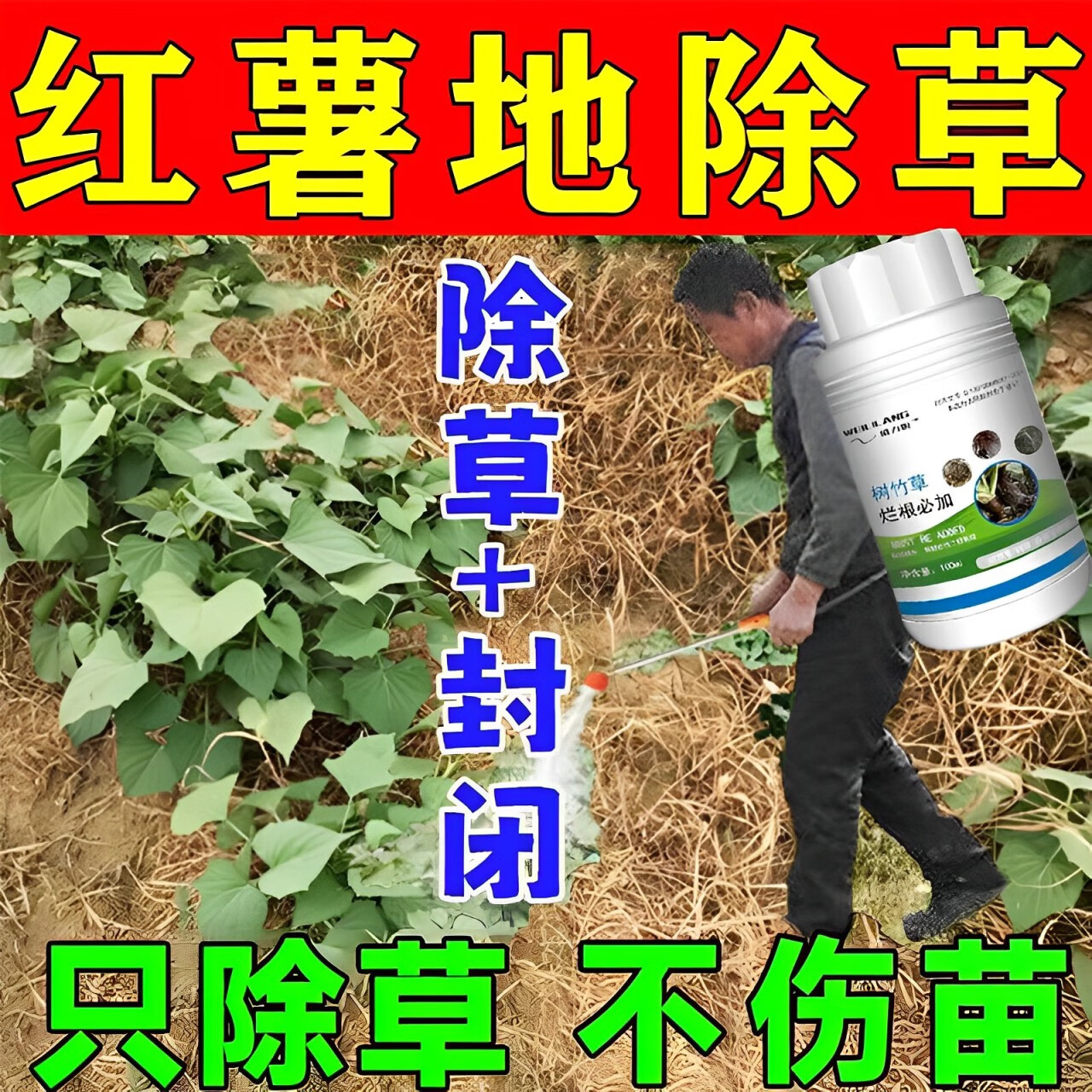 红薯地专用除草剂苗后除杂草烂根除草剂地瓜土豆不伤苗田禾阔双除 三