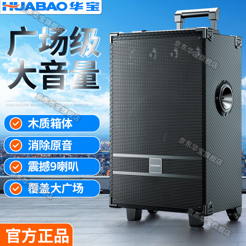 音箱户外k歌大功率超重低音炮拉杆音响 【专业版】20寸组合喇叭三分频
