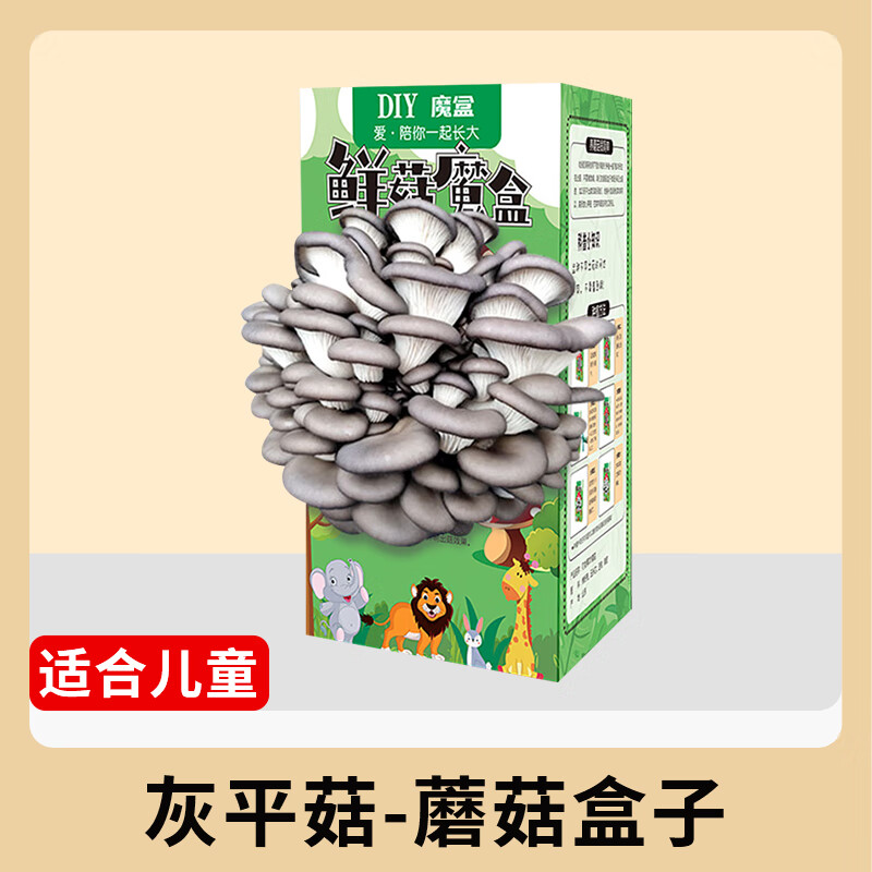 金雅特蘑菇种植菌包种植桶趣味儿童DIY养殖食用菌包盒子平菇 鲜菇魔盒【灰平菇1盒】