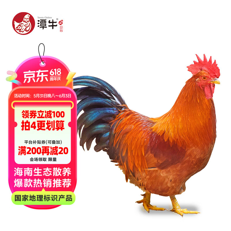 潭牛小公鸡海南文昌鸡整鸡1kg散养土鸡肉生鲜冷冻 供港品牌椰子鸡