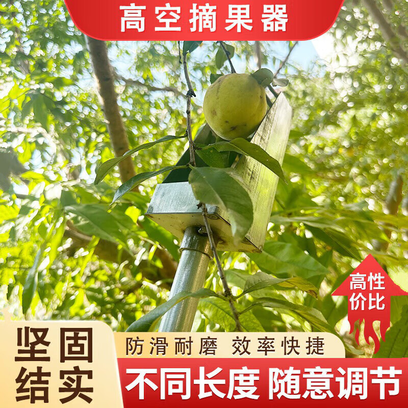 新款摘酸枣神器连翘采摘器高空摘果神器摘柏籽山枣防扎手专用工具 a款