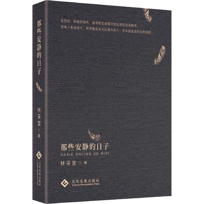 那些安静的日子林采宜 图书