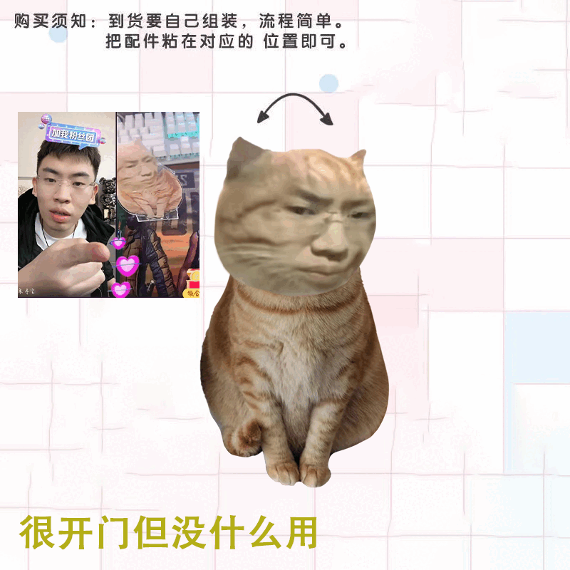 法兰加听泉猫摇头摆件听泉猫新鲜哥周边卡通表情包抖音搞笑摇脑袋桌面