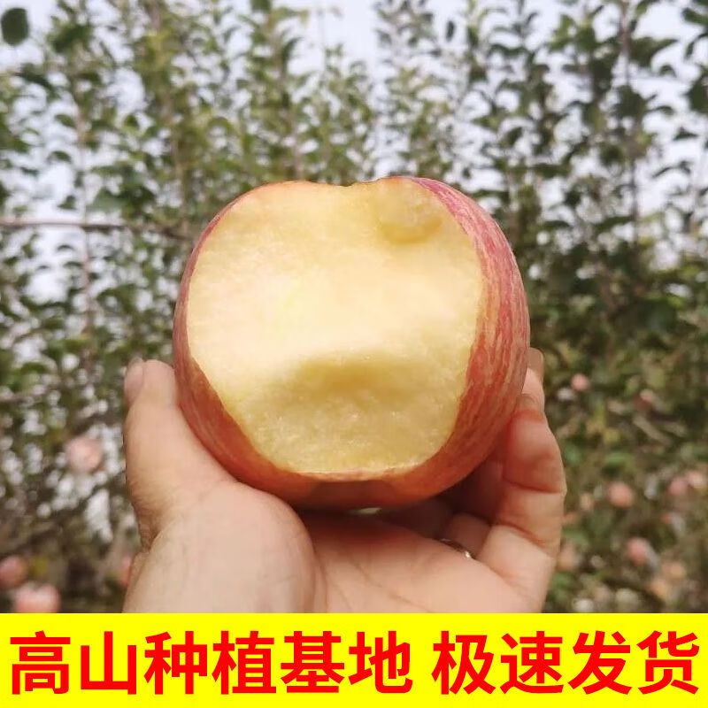 京东精选卖场 2023-11-15 - 第21张 | 最新购物优惠券 京东精选卖场 2023-11-15 - 第21张 | 最新购物优惠券