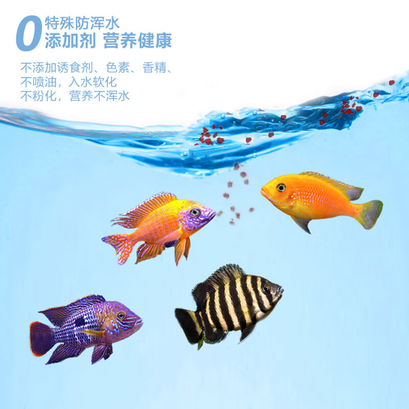鱼麒麟小型鱼饲料孔雀鱼七彩神仙鱼粮斗鱼热带鱼原生吉罗观赏鱼天使鱼食 三湖慈鲷素食饲料【缓沉】150ml