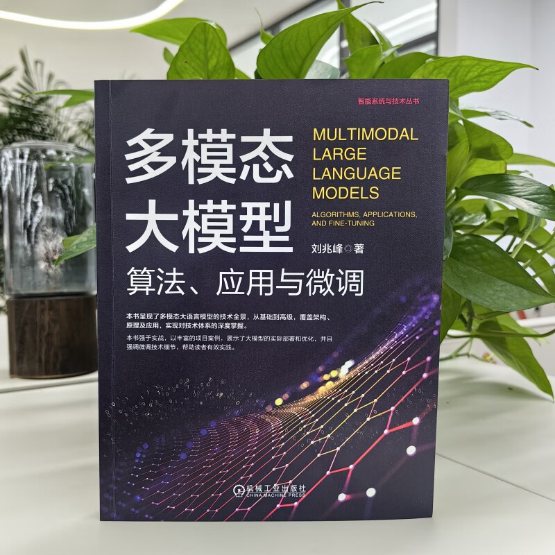 多模态大模型：算法、应用与微调