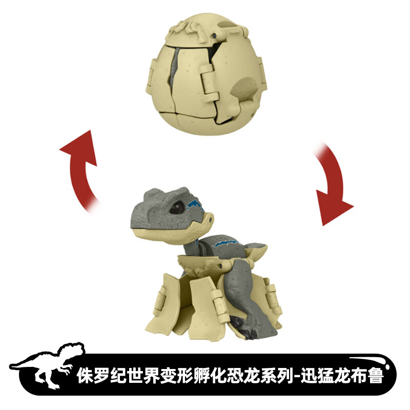 变形孵化恐龙系列-迅猛龙布鲁-h