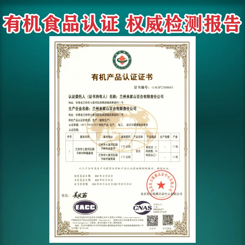 米家山甘肃兰州新鲜百合有机百合产地直发鲜百合现挖食用特产蔬菜甜百合 独头 普通礼盒 (3斤装)顺丰航空