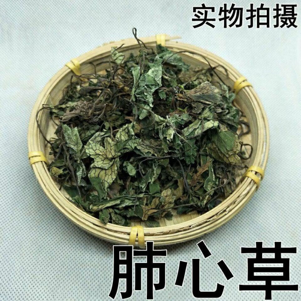 北京同仁堂肺心草中药材大肺筋天然肺经草费心草干货精选批发 真材实