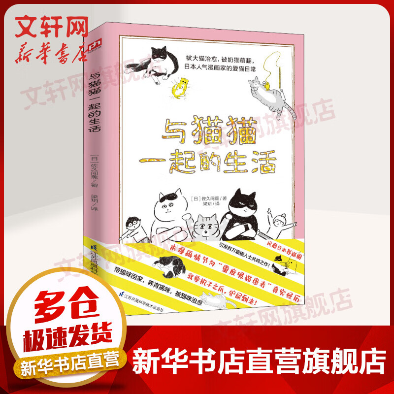 与猫猫一起的生活