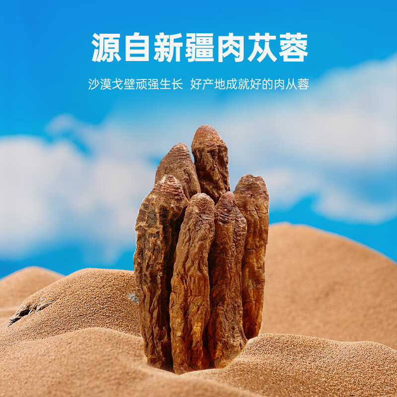 宁安堡肉苁蓉沙苑子菟丝子枸杞锁阳整根切片金淫羊藿泡酒料男性 肉苁蓉 100g*1罐