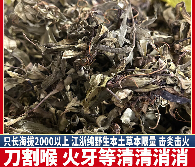 纯野生蒲地蓝 中草药击炎击火大王 泡茶煮水 无硫中药材 蒲地蓝50克