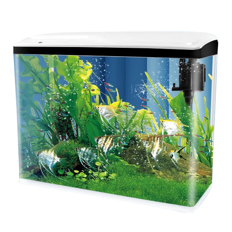 佳宝 JEBO 迷你鱼缸 懒人免换水生态鱼缸家用客厅中小型鱼缸浮法玻璃水族箱 QR223（235*160*275）