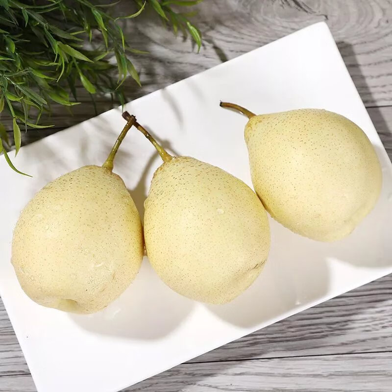 河北正宗鸭梨水晶梨薄皮整箱当季新鲜梨子10斤5斤3斤雪梨 3斤泡沫包装