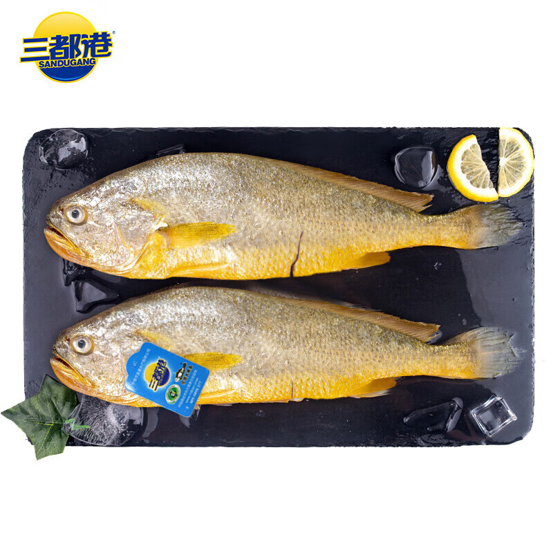 三都港冷凍三去大黃魚凈重2斤/2條裝 寧德黃花魚 深海生鮮魚類 海鮮水產(chǎn)