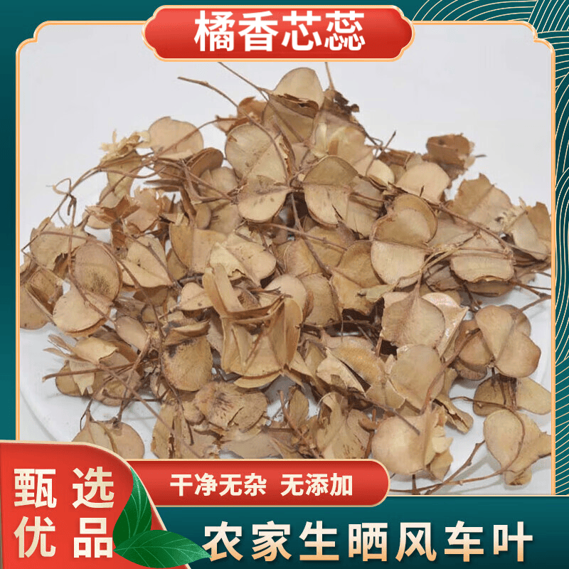 橘香芯蕊 中药原材料野外生风车叶 车儿风吹叶子耳响有异音风车子风车