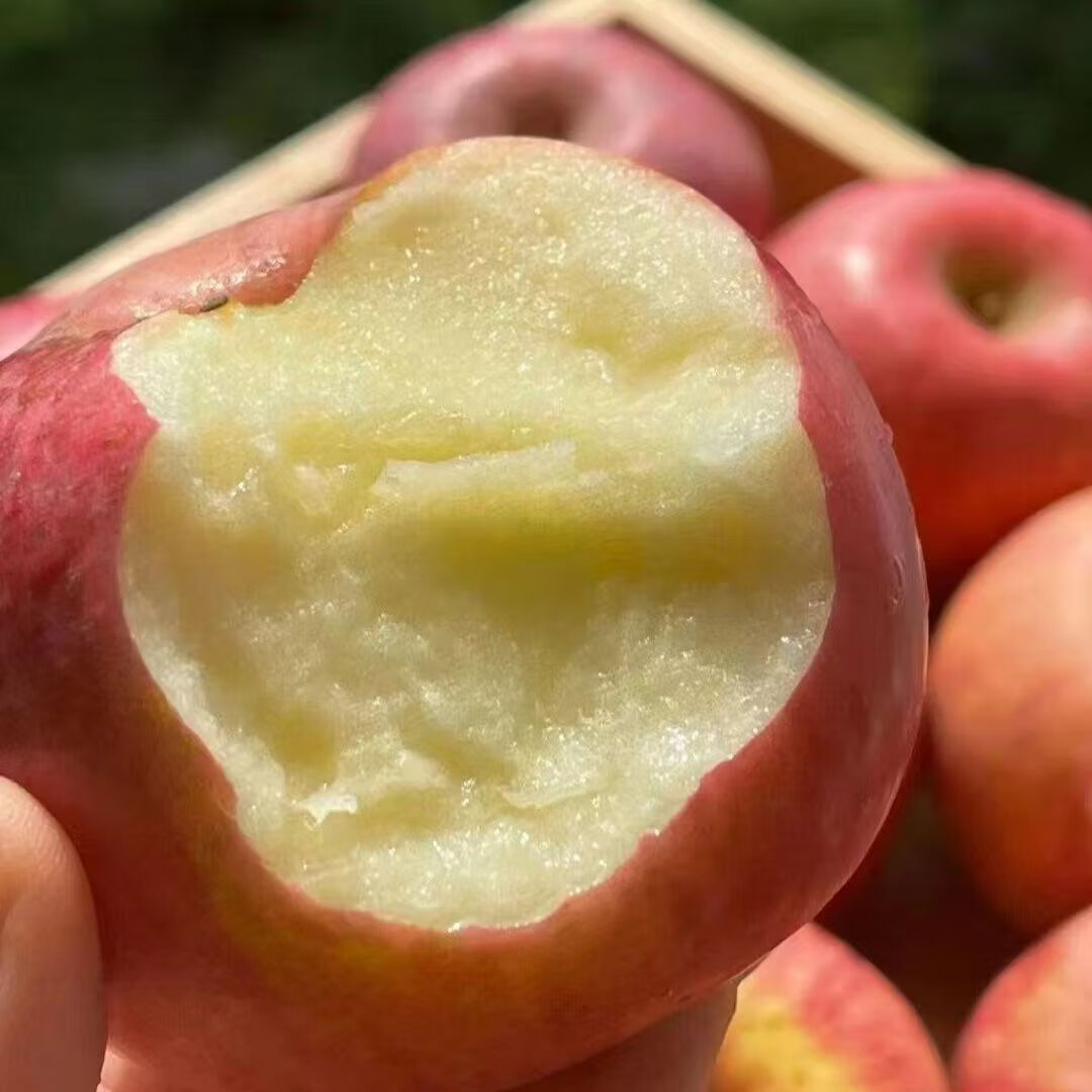 田园东方 ORIENT IDYLL高山红富士 （新疆 陕西双仓）苹果脆甜口感应季新鲜水果 带箱 5斤装70-80（净重4.5-5斤） 京东折扣/优惠券