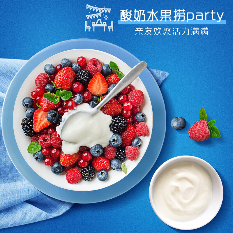 安慕希伊利希腊风味常温原味酸奶整箱生牛乳牛奶乳品儿童营养早餐礼盒装 原味205g*10盒*1箱12月产