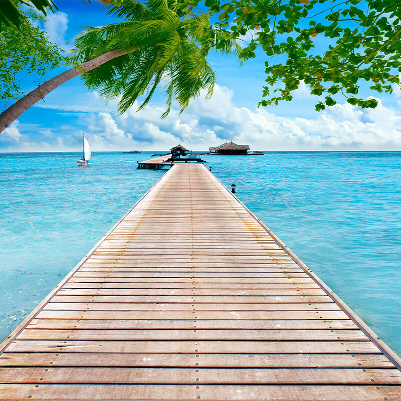 山头林村海报墙纸风景海边  主直播间背景布3d立体墙图户外风景大海