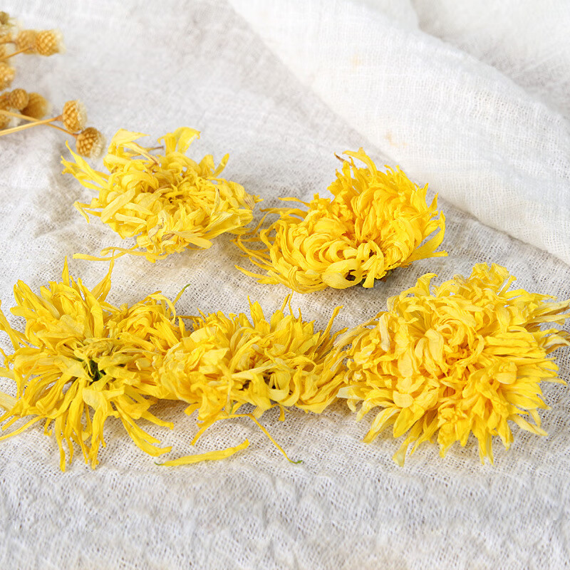 仲景青年金丝皇菊罐装菊花茶特大菊花 20克罐装*3