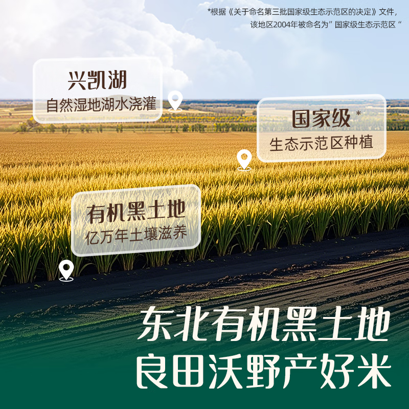 英氏宝宝辅食【有机主食专区】婴儿有机米粉有机面条米 【双95%】有机胚芽米