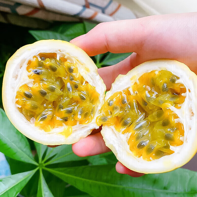 延意心选广西黄金百香果 当季生鲜水果 20个 30g+