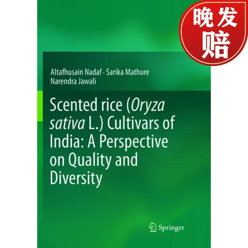 【4周达】scented rice (oryza sativa l.