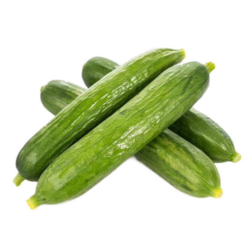 谷優(yōu)珍山東水果小黃瓜新鮮小青瓜 健康輕食現(xiàn)摘現(xiàn)發(fā) 源頭直發(fā) 水果黃瓜 凈 4.5斤 現(xiàn)摘精選