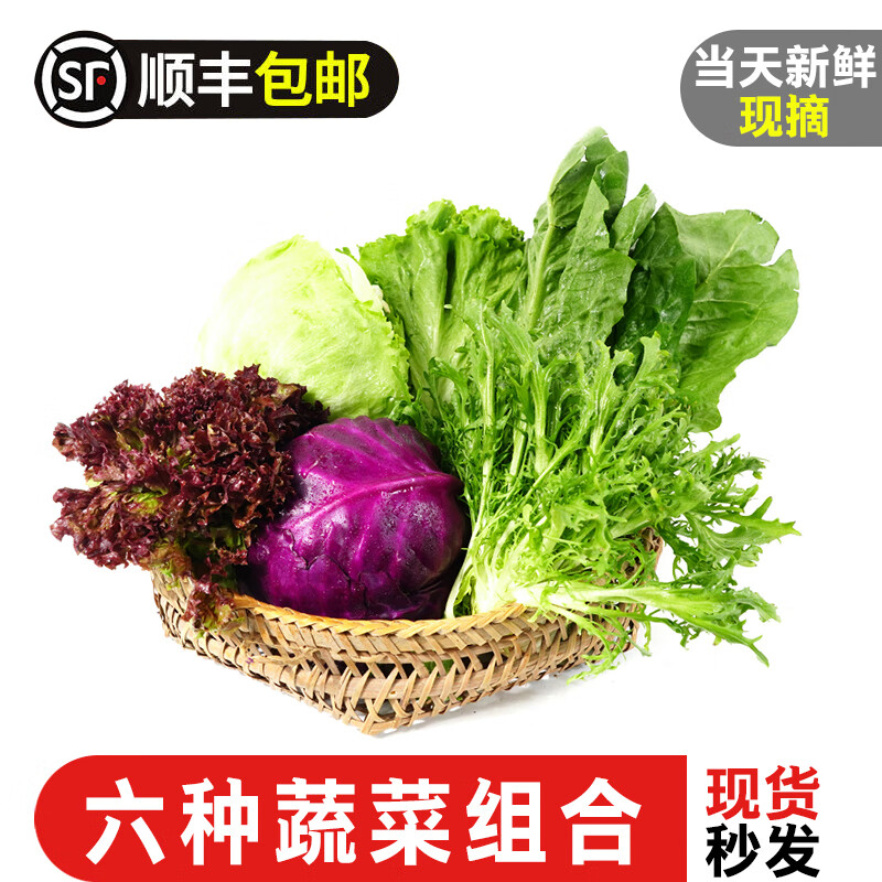 新鲜蔬菜沙拉组合4斤红叶苦菊球生菜罗莎绿紫包菜罗马菜沙拉套餐 2000g