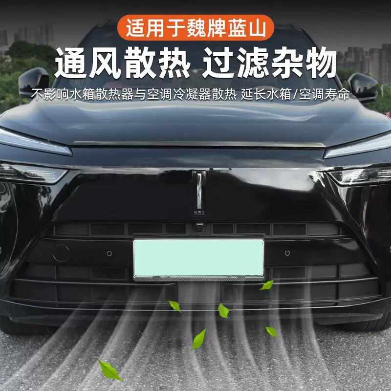精功夫23-25款魏牌蓝山一体式卡扣防虫网前脸中网水箱防尘保护罩改装品 23-25款蓝山防虫网【一体全包款】哑黑
