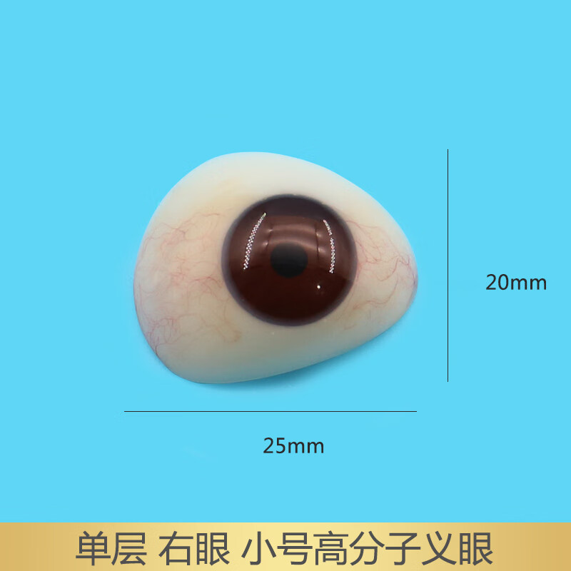 高分子仿真义眼片 高分子树脂义眼片眼球萎缩摘除真人佩戴超薄蜡像