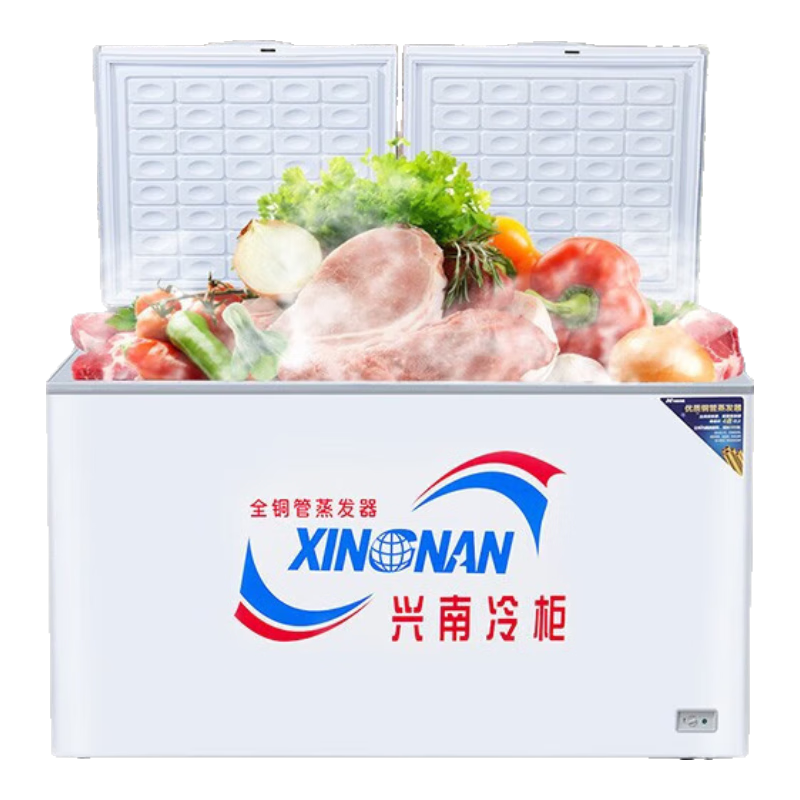 兴南商用卧式冰柜 冷藏冷冻转换冷柜 大容量卧式冰箱 冷冻冰柜小型 带脚轮带锁 BD/BG-193Pt【193升】