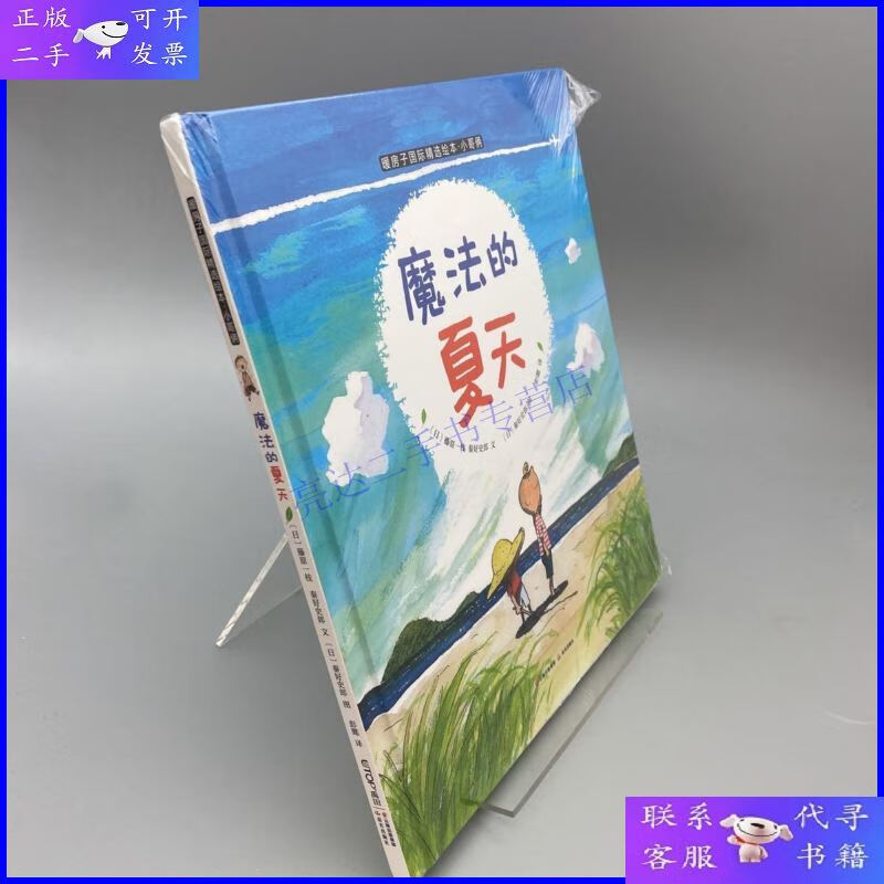 【二手9成新】暖房子国际精选绘本·小哥俩:魔法的夏天