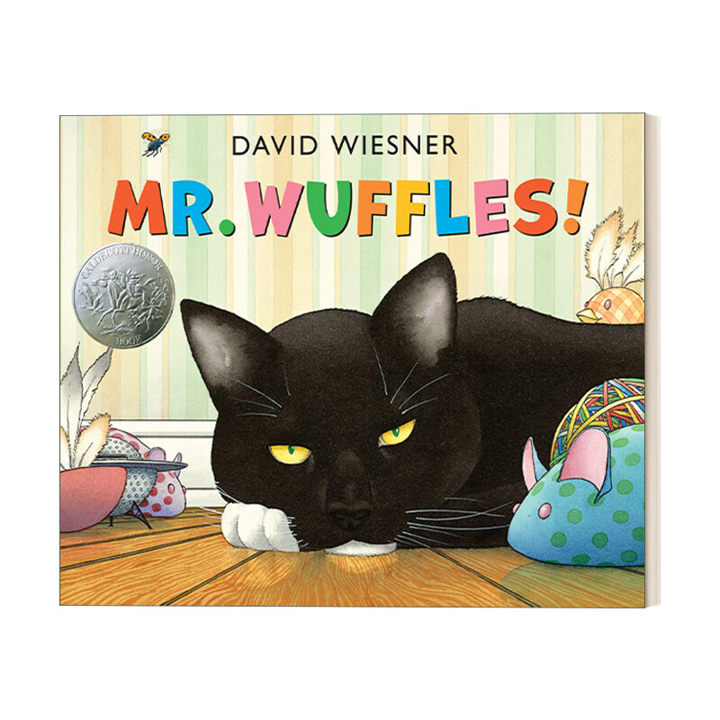 wuffles 华夫先生 大卫 威斯纳精装绘本 英文版 英语原版书籍