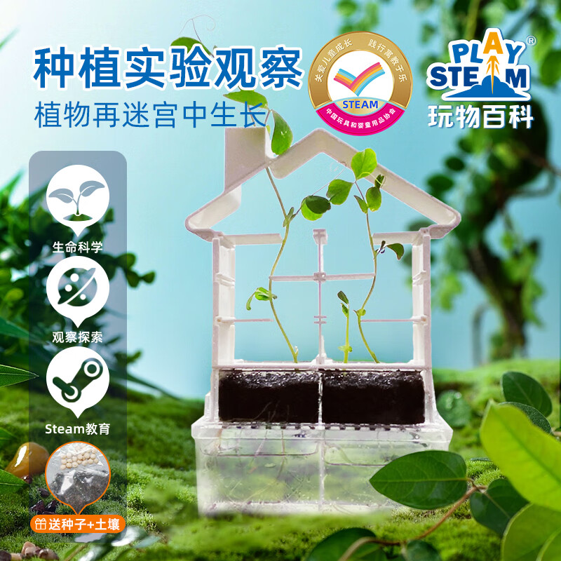 小实验套装玩具男女孩子生日礼物制作 植物迷宫【赠送种子 种植工具】