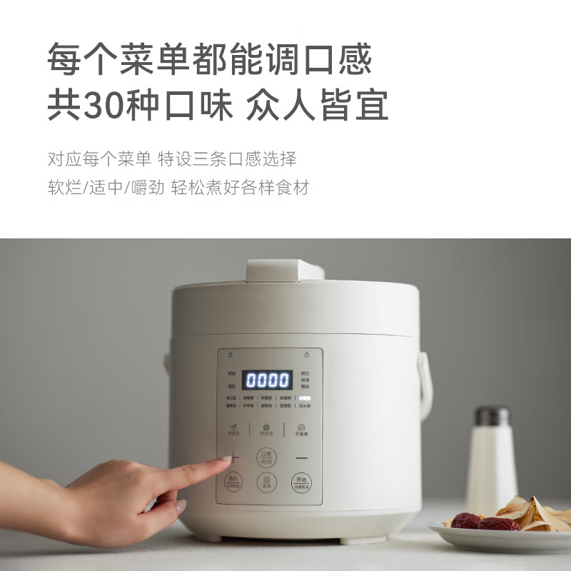 olayks电压力锅 高压锅 家用多功能高压电饭锅快煮智能预约小型压力锅 2升适用2-3人用