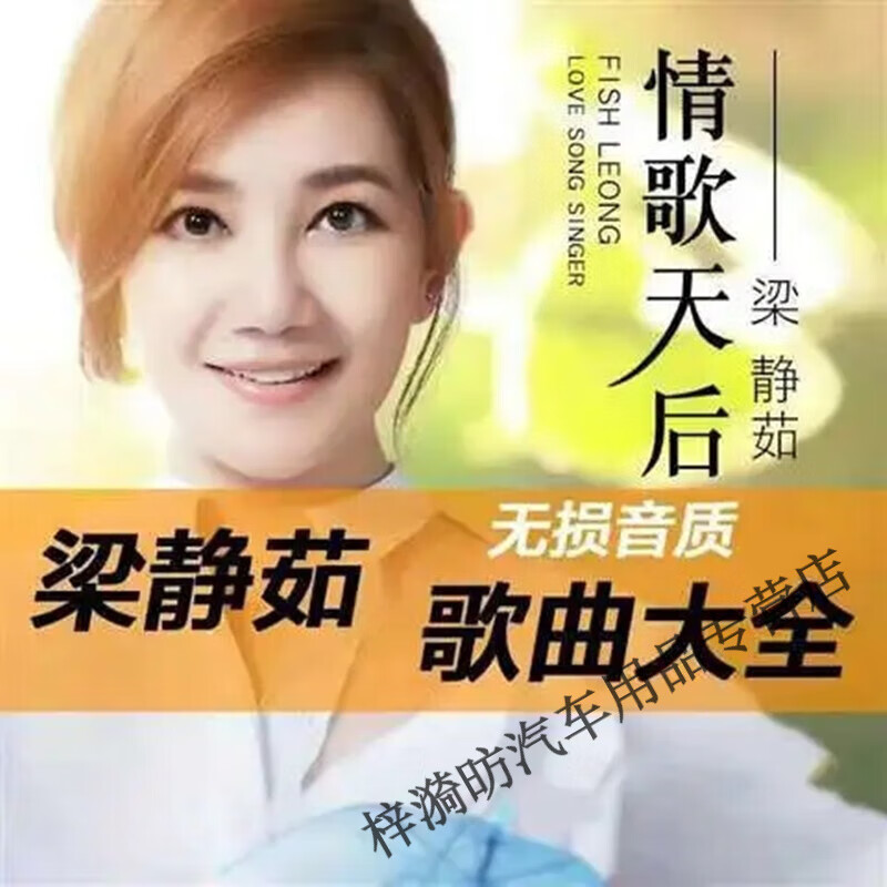 迪伯顿(diborton)梁静茹歌曲u盘勇气 爱你不是两三天 可惜不是你情歌