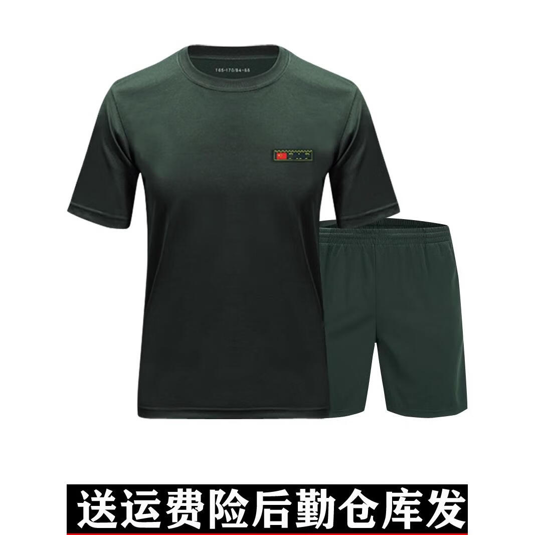 体能训练服套装圆领短袖t恤短裤新式夏季作训服速干武术户外跑步 单