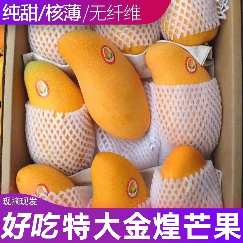 粤迎金煌芒芒果当季新鲜现摘大芒果青色甜心芒新海南鲜水果新鲜水果 5斤精选果【单果250g+】净4.5斤 普箱装【自吃推荐】